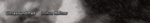 ultrasound.png