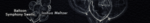ballswells.png