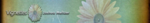 vignettes.png