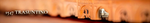 NEMUS project 1547 Trasuntino(2).png