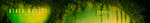 Zero-G Other Worlds Evolved.png