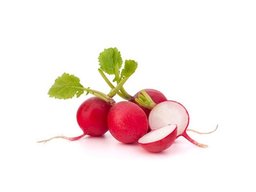 The_radish