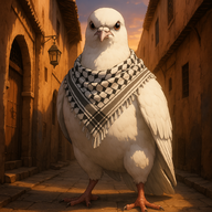 Mohammed Mehdi TBER