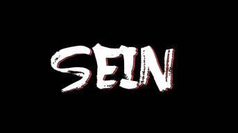 Sein