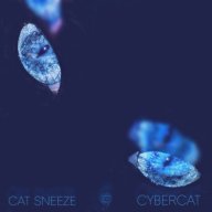 cybercat