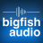 Big Fish Audio